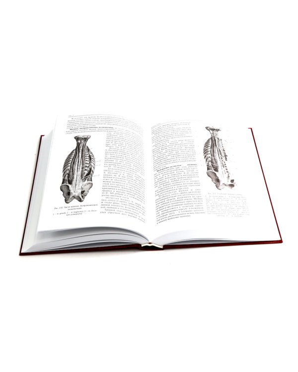 Ортопедическая анатомия Неттера; Нормальная анатомия человека: В 2-х т. (комплект из 3-х книг)