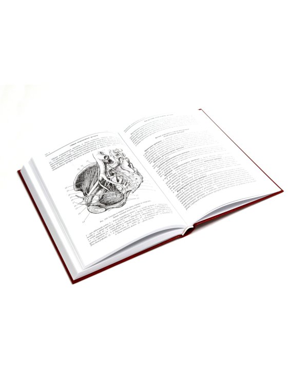 Ортопедическая анатомия Неттера; Нормальная анатомия человека: В 2-х т. (комплект из 3-х книг)