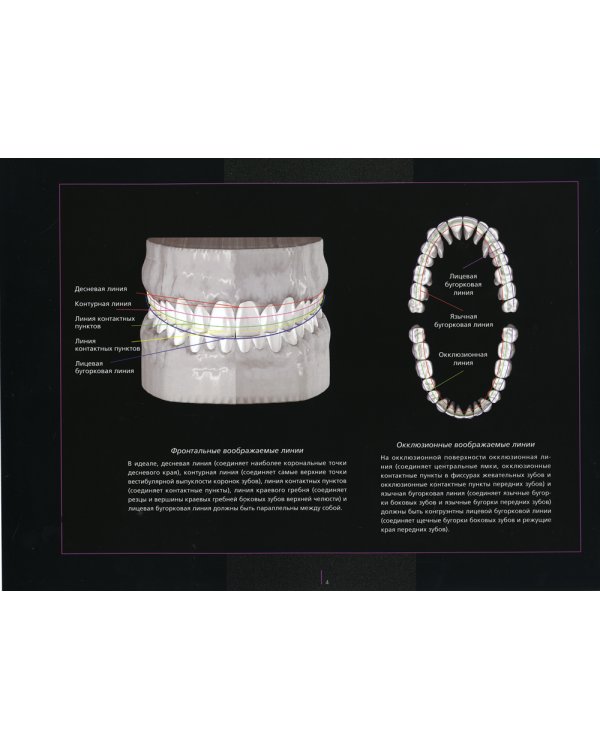 Основы эстетики в стоматологии. Достижение гармониии