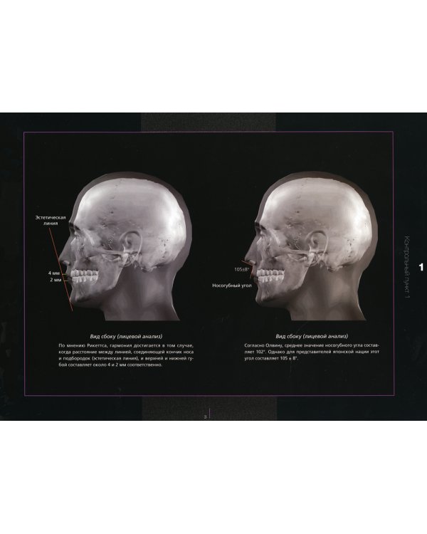 Основы эстетики в стоматологии. Достижение гармониии