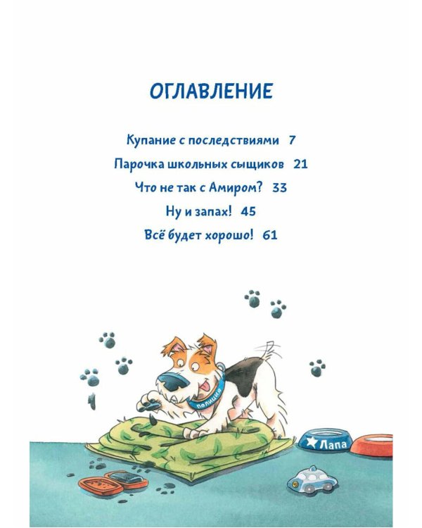 Комиссар Лапа. Загадка лесного озера