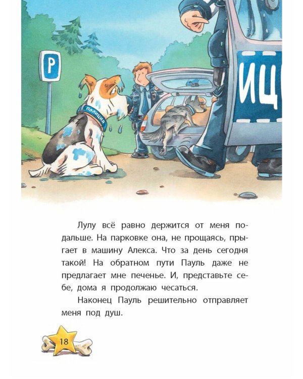 Комиссар Лапа. Загадка лесного озера