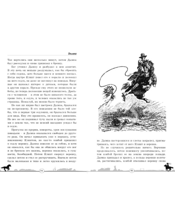 Дымка. Конь ковбоя