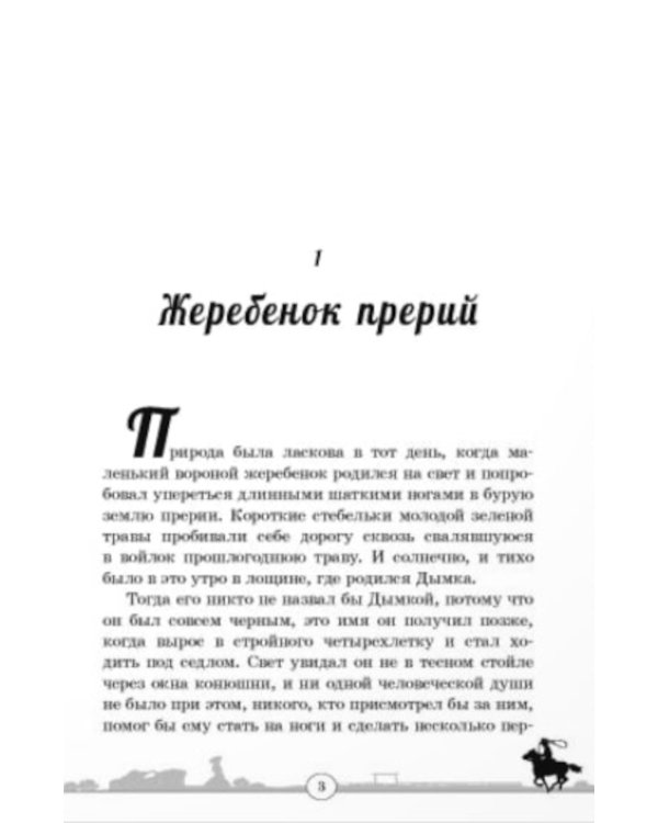 Дымка. Конь ковбоя