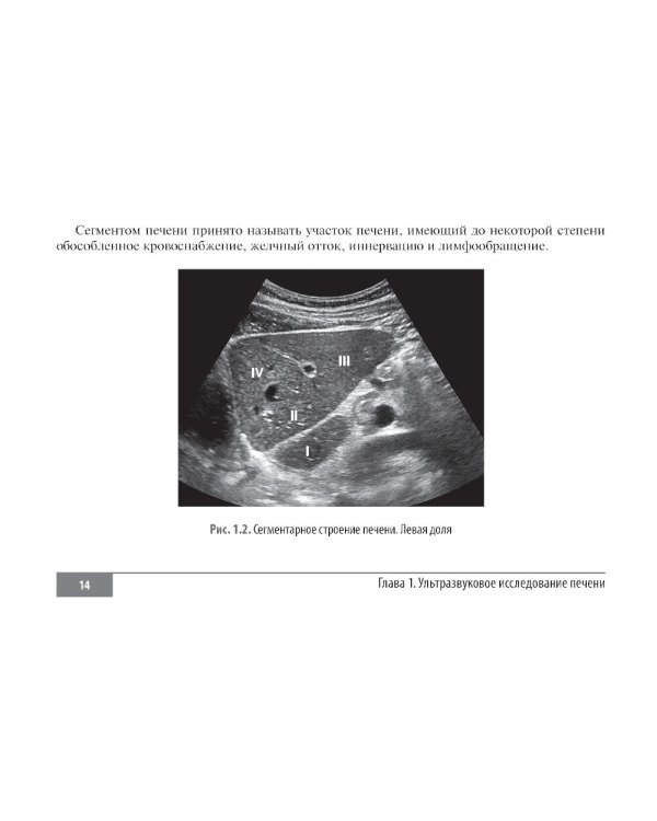 Клинические нормы. Ультразвуковое исследование органов брюшной полости: справочник в таблицах