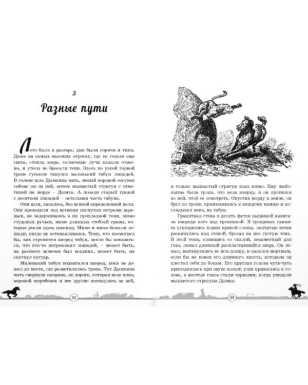 Дымка. Конь ковбоя