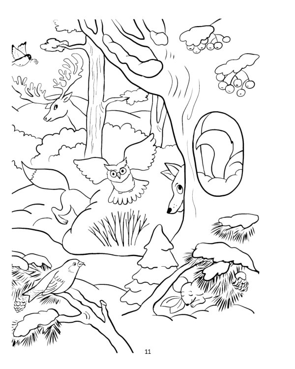 Пойдем в лес!: виммельбух-прогулка с мышонком Ерошкой