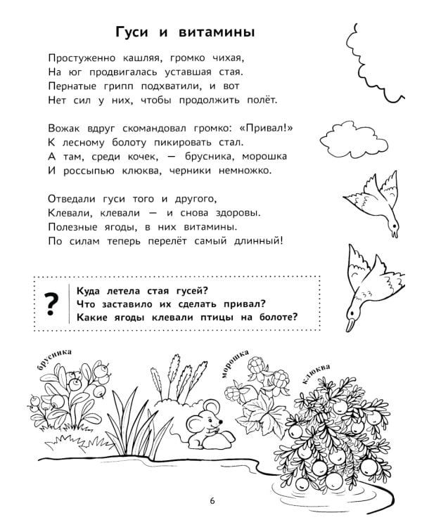 Пойдем в лес!: виммельбух-прогулка с мышонком Ерошкой