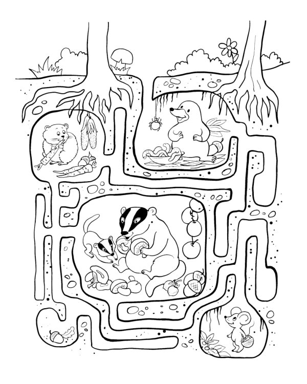 Пойдем в лес!: виммельбух-прогулка с мышонком Ерошкой