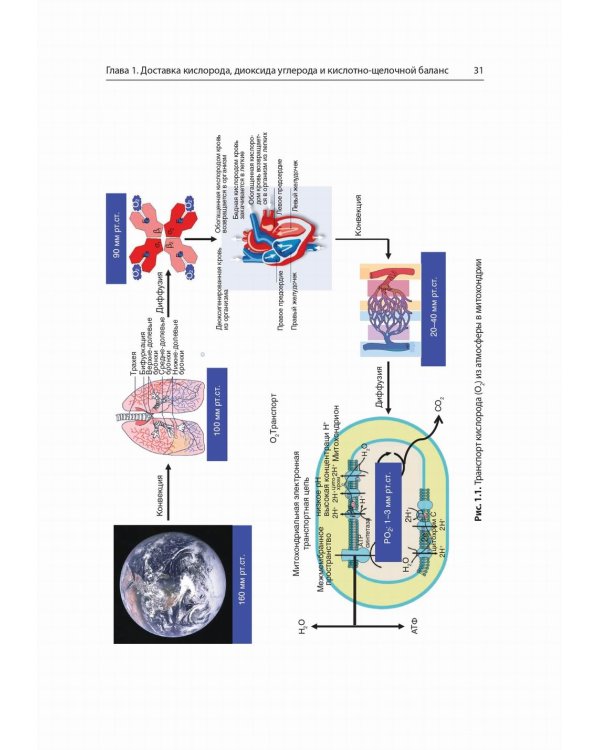 Интенсивная терапия в детской кардиохирургии: практическое руководство
