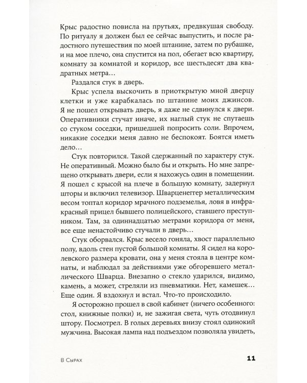 В Сырах: Роман в промзоне