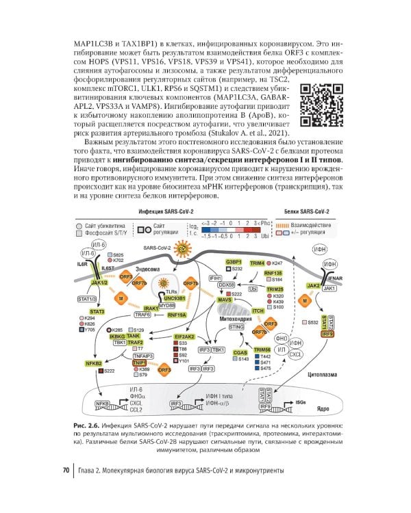 Микронутриенты против коронавирусов: вчера, сегодня, завтра