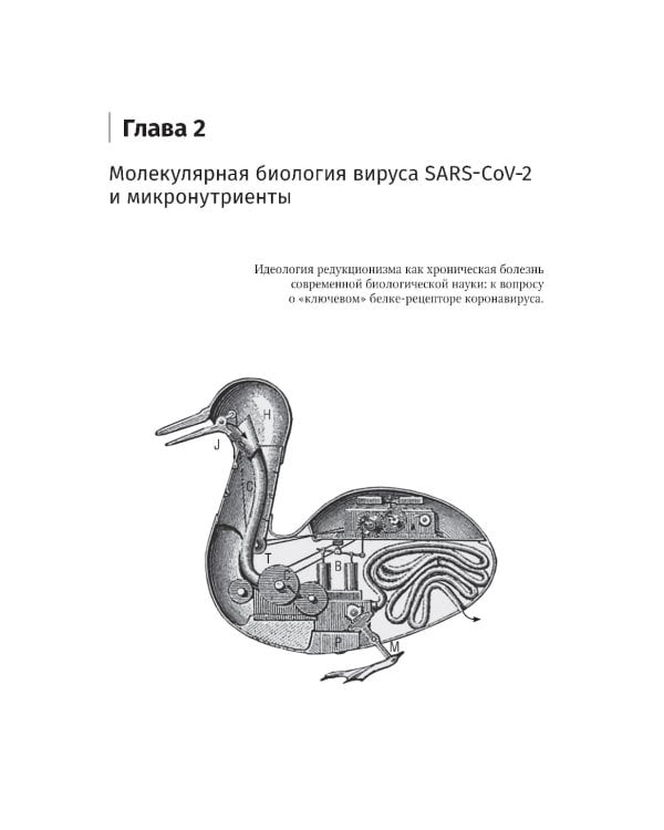 Микронутриенты против коронавирусов: вчера, сегодня, завтра