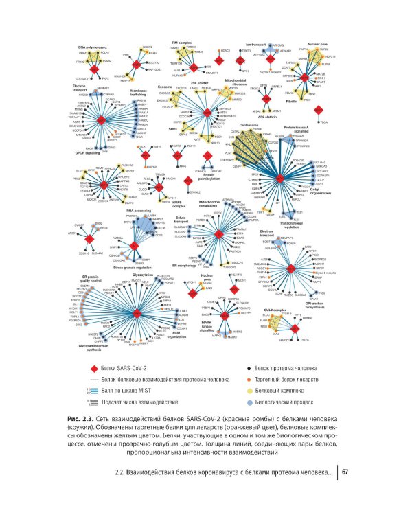 Микронутриенты против коронавирусов: вчера, сегодня, завтра