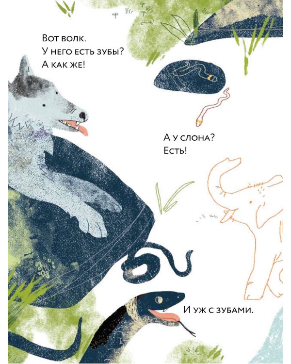 Зубы? Зубы... Зубы!