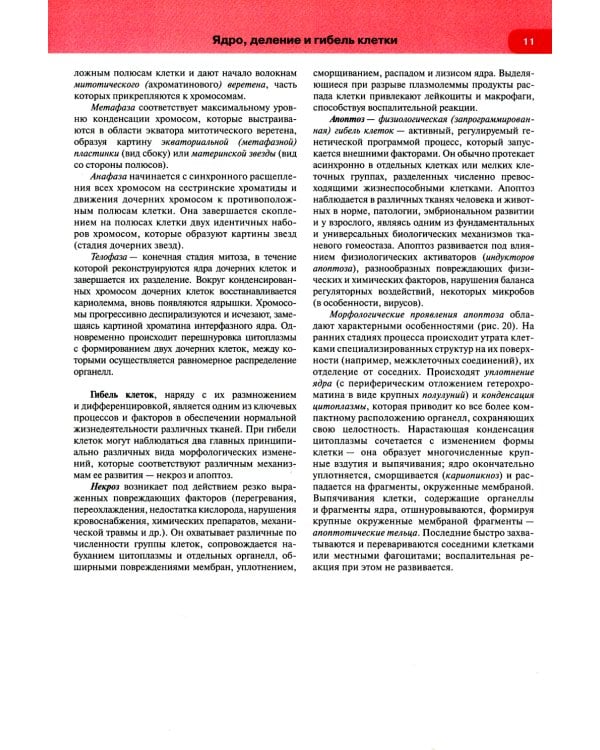 Гистология, цитология и эмбриология: атлас: учебное пособие