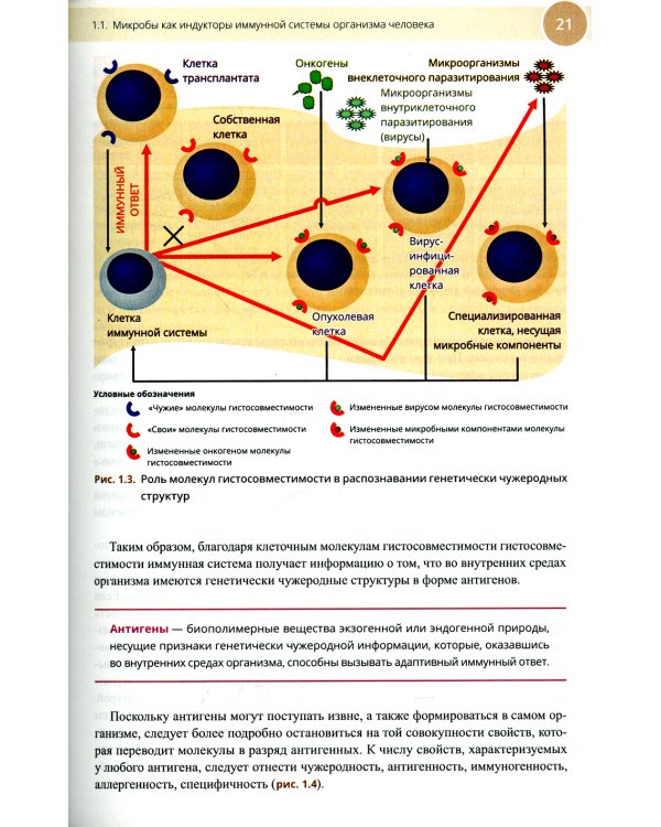 Медицинская иммунология и аллергология. Учебное пособие
