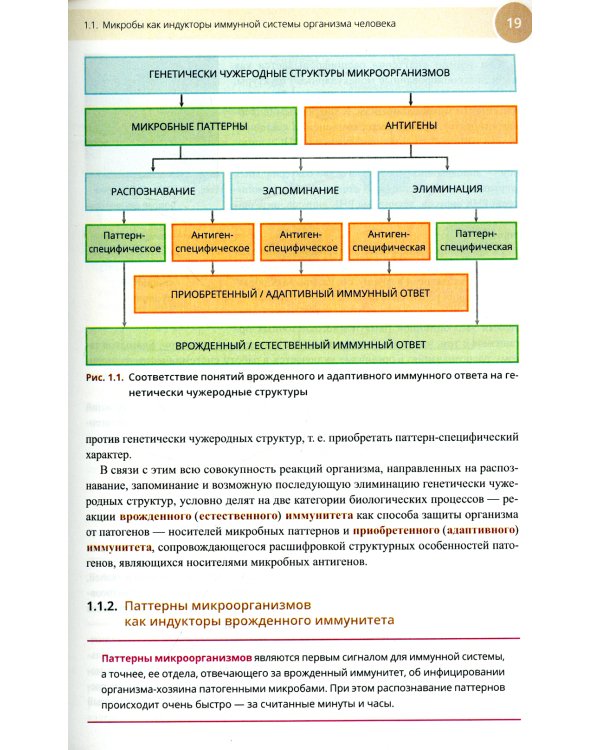 Медицинская иммунология и аллергология. Учебное пособие