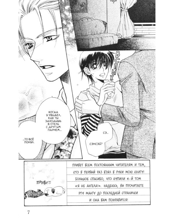 Я не ангел. Т. 4