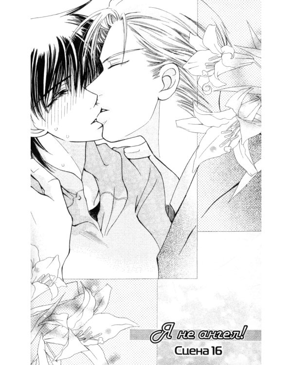 Я не ангел. Т. 4