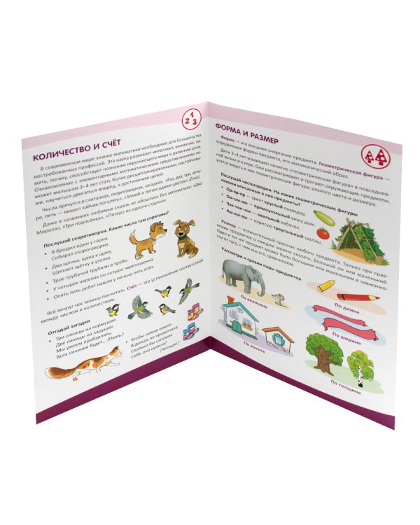 Математическое развитие детей 3-4 лет. Ширмочка информационная