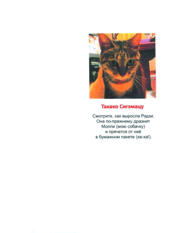 Я не ангел. Т. 4