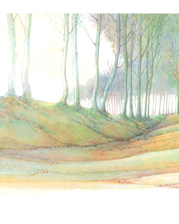 Рукавичка. Русская народная сказка (иллюстрации Люка Купманса)