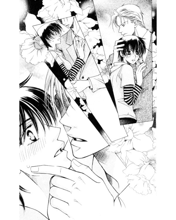 Я не ангел. Т. 4