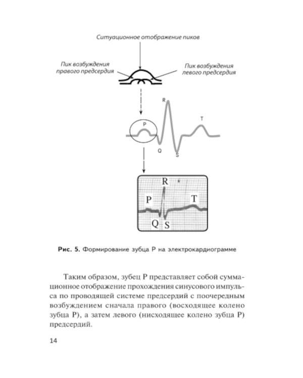 Азбука ЭКГ и Боли в сердце. 8-е изд