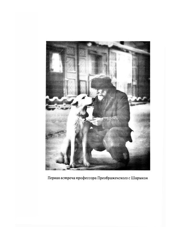 Собачье сердце: повесть