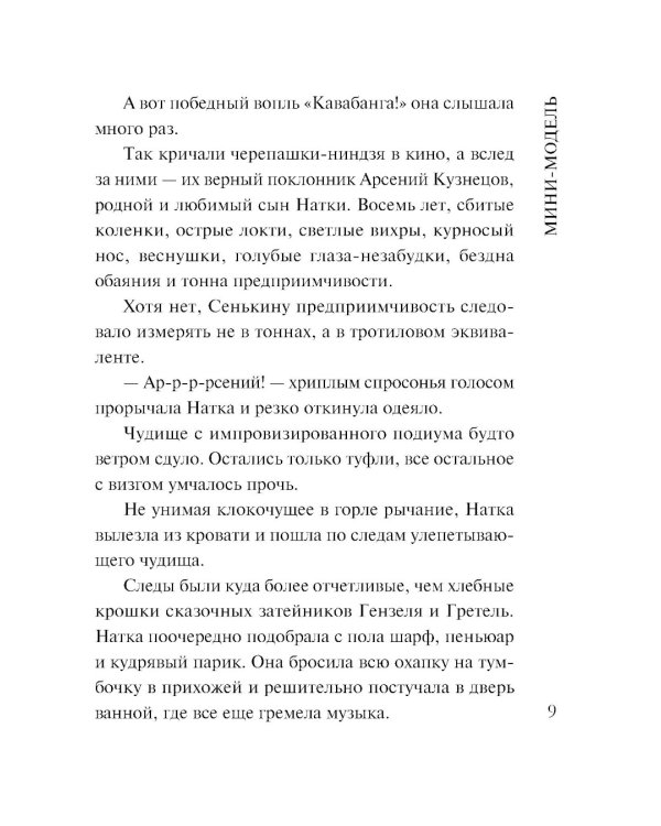 Мини-модель: роман