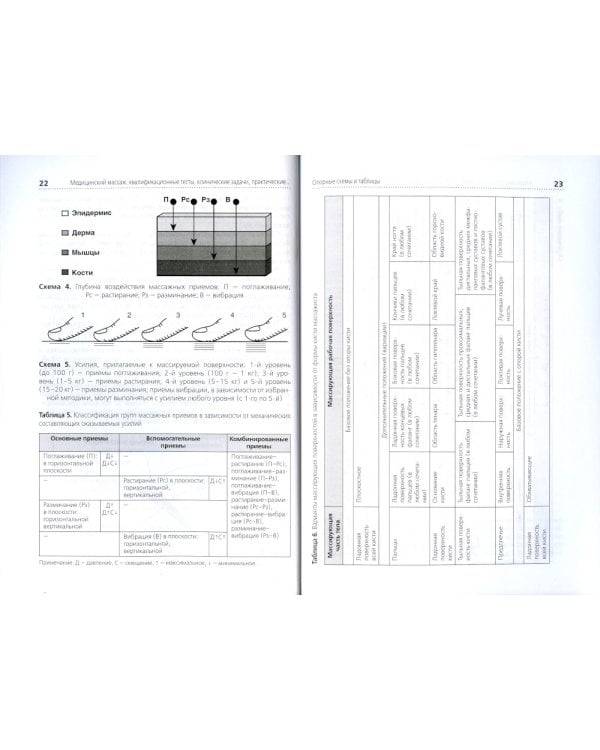 Медицинский массаж. Квалификационные тесты, клинические задачи, практические навыки