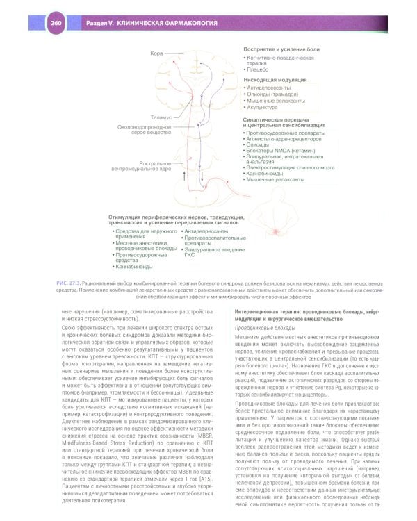 Терапия по Сесилю. В 4 т. Т. 1