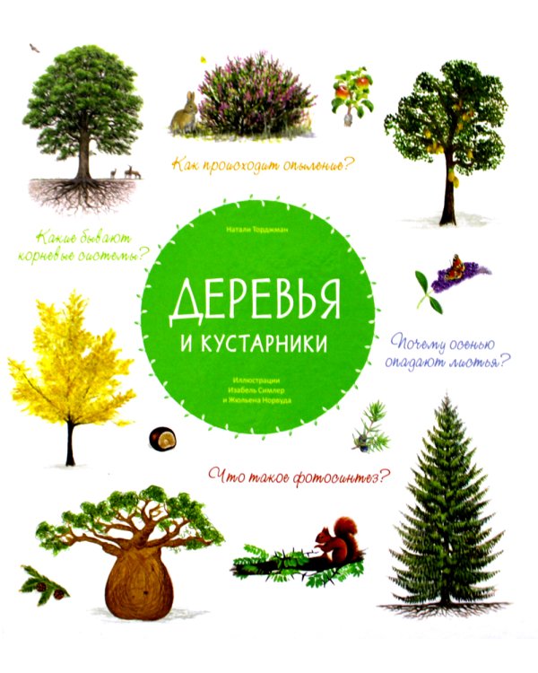 Деревья и кустарники