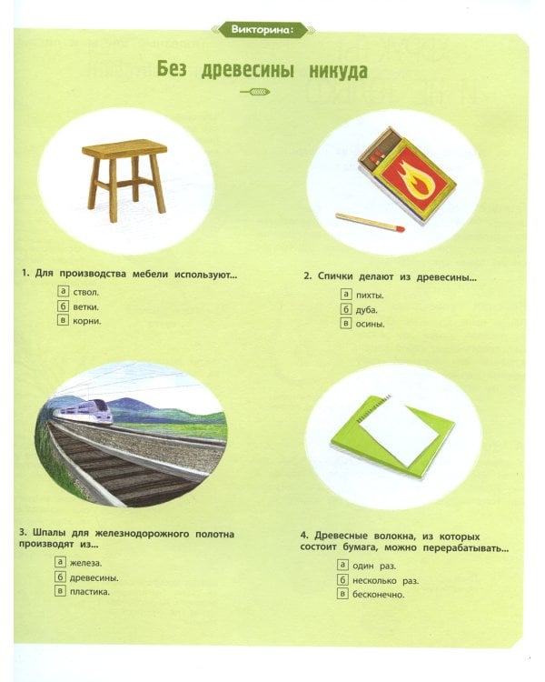 Деревья и кустарники