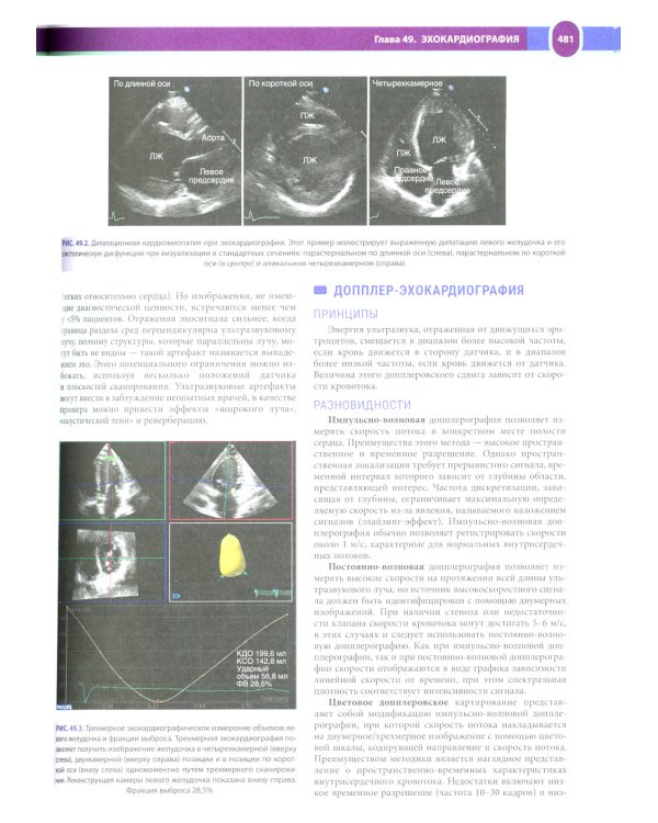 Терапия по Сесилю. В 4 т. Т. 1