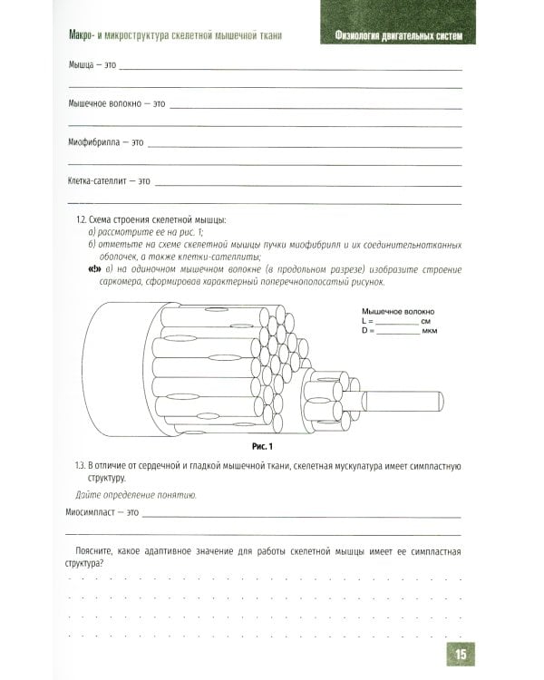 Нормальная физиология. Физиология двигательных систем: рабочая тетрадь