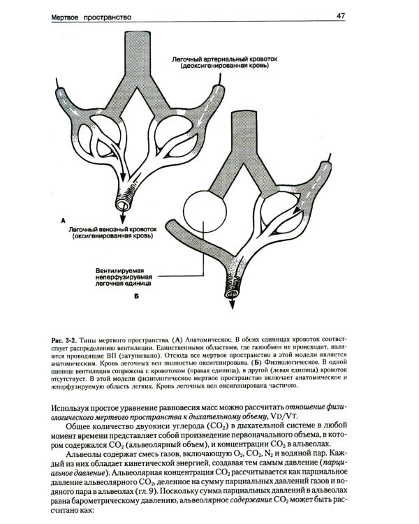 Патофизиология легких. 2-е изд., испр (обл.)