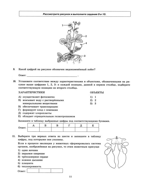 ЕГЭ 2024. Биология. 32 варианта. Типовые варианты экзаменационных заданий от разработчиков ЕГЭ