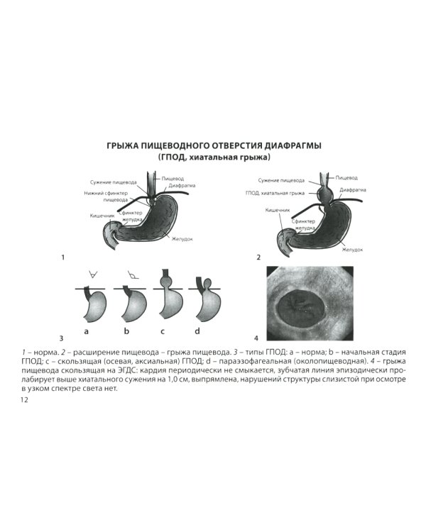 Гастроэнтерология. Практическое руководство 9-е изд., доп