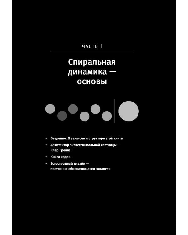 Спиральная динамика на практике:  Модель  развития личности, организации и человечества