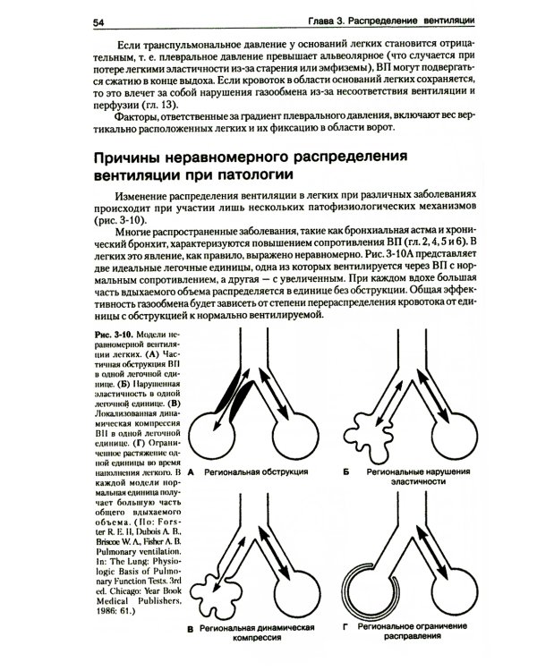 Патофизиология легких. 2-е изд., испр (обл.)