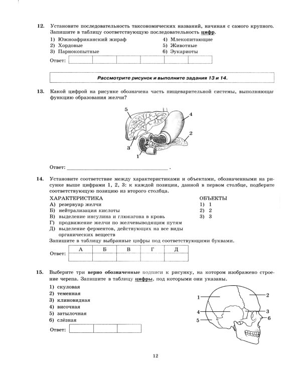 ЕГЭ 2024. Биология. 32 варианта. Типовые варианты экзаменационных заданий от разработчиков ЕГЭ