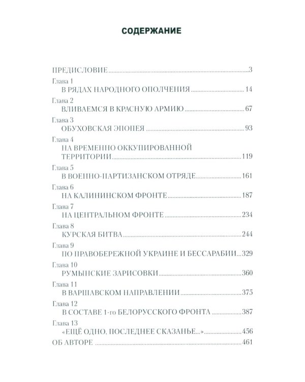 Глазами ополченца. Фронтовой дневник. 1941-1945