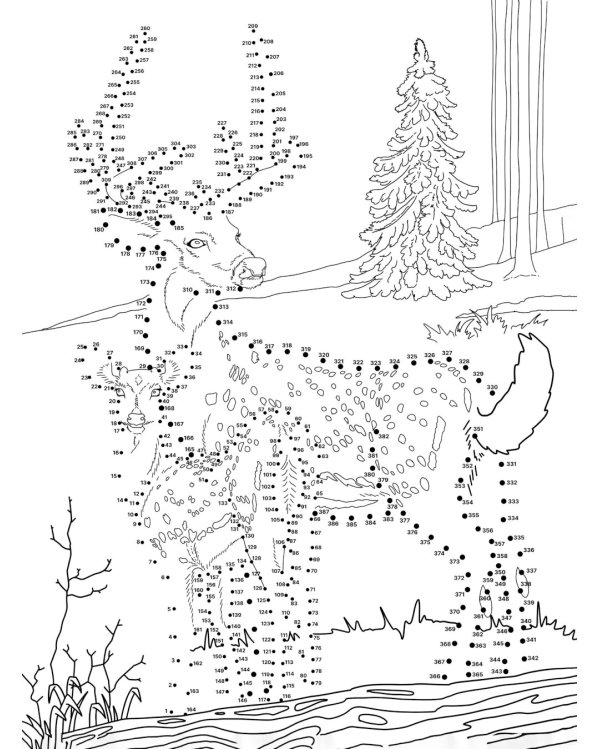 Животные. Рисуем по точкам