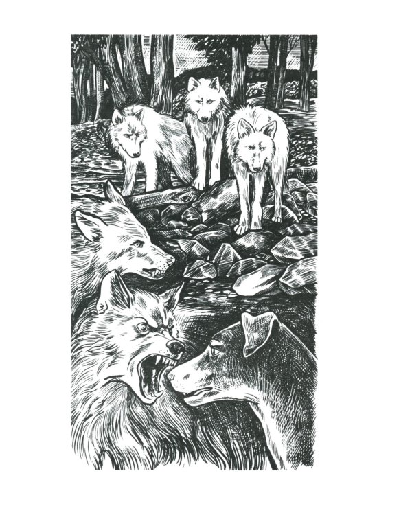 Хроники Стаи. Путь изгнанницы