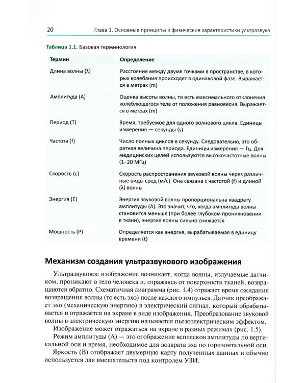 Ультразвуковая навигация в интервенционном лечении боли. Иллюстрированное пошаговое руководство