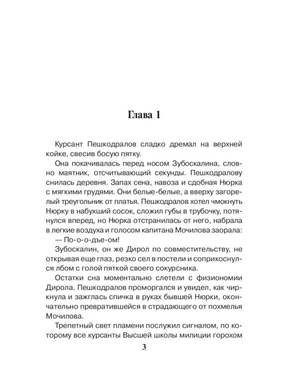 Особенности национальной милиции