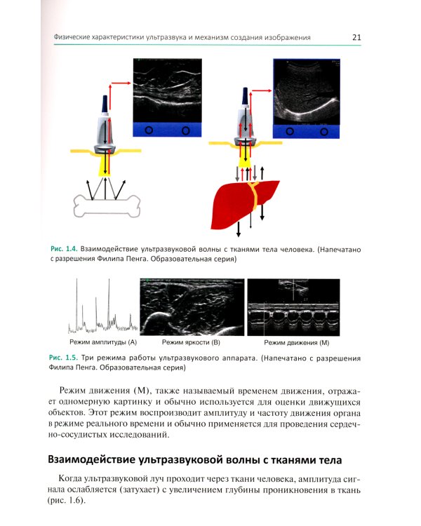 Ультразвуковая навигация в интервенционном лечении боли. Иллюстрированное пошаговое руководство