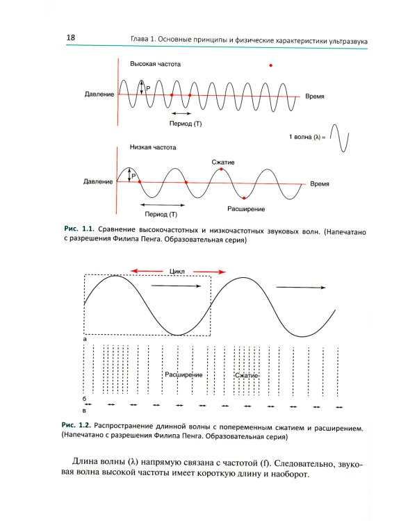 Ультразвуковая навигация в интервенционном лечении боли. Иллюстрированное пошаговое руководство